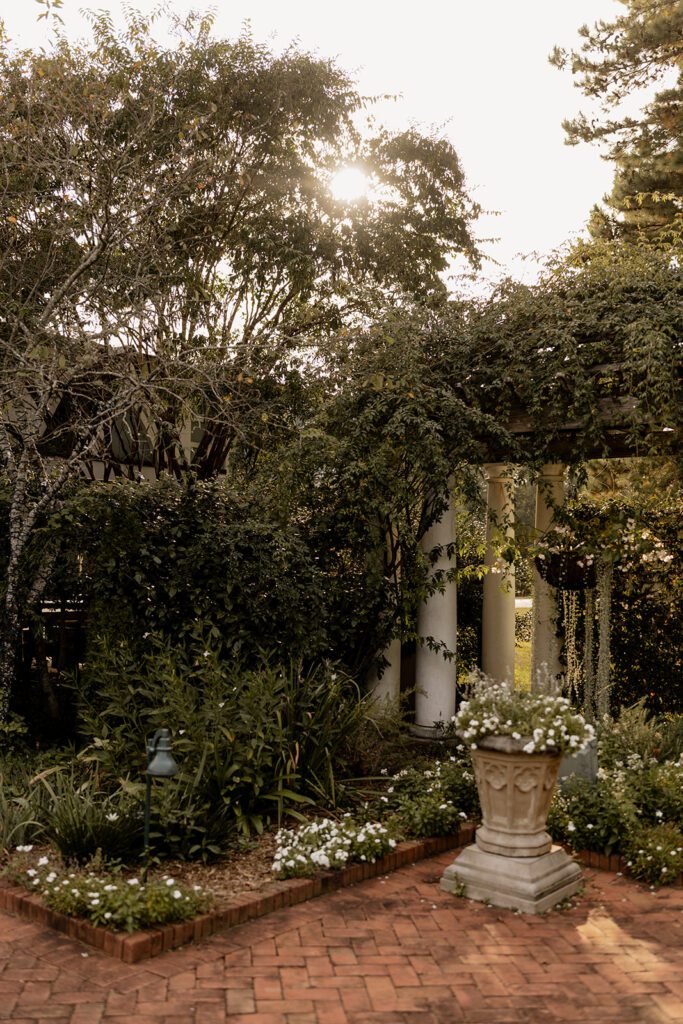 A garden scene with lush greenery and a white pergola in the background, creating a serene atmosphere.